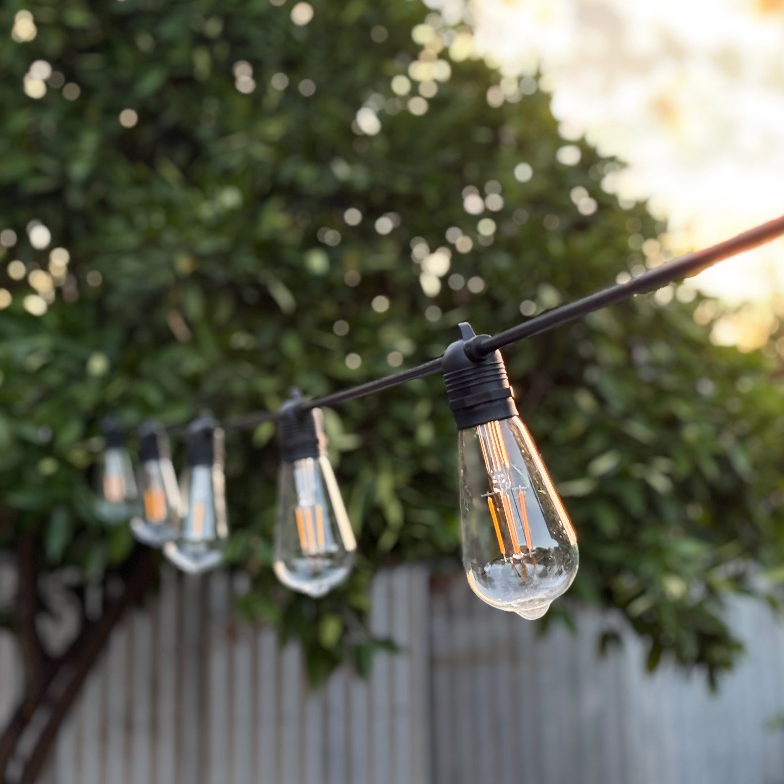 Festoon Light Kit - 50cm Globe Spacing | Black