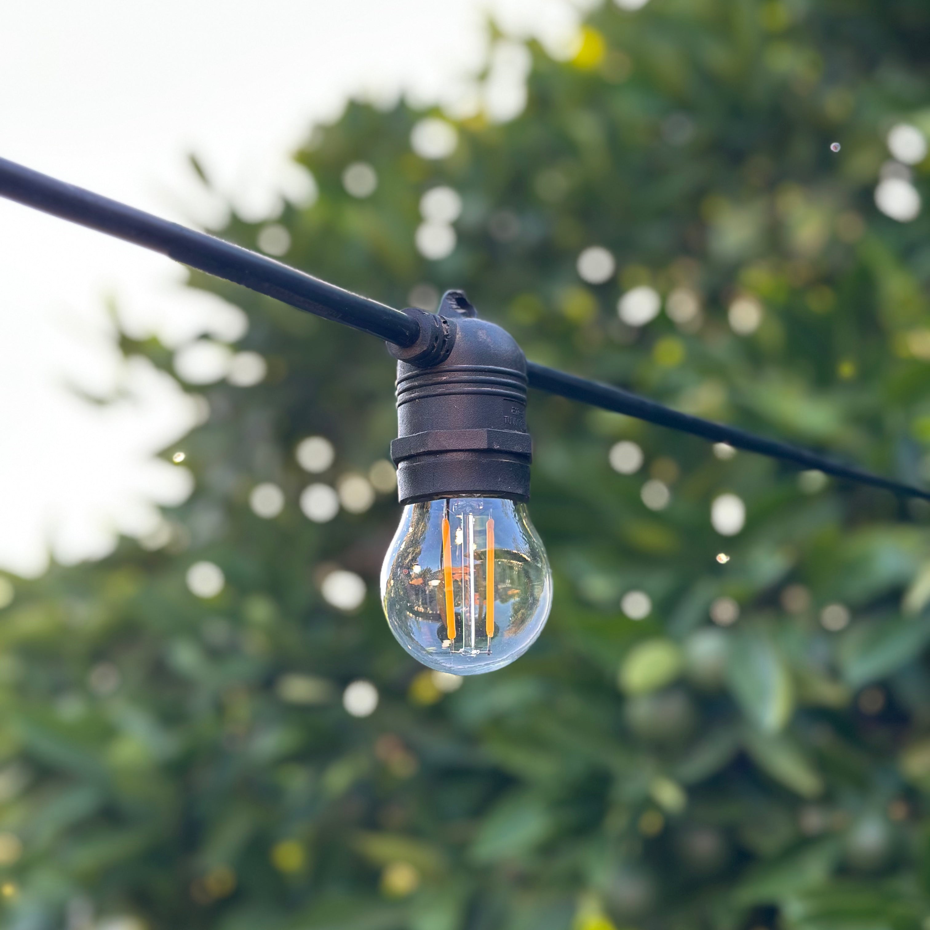 1W G45 LED | Warm White