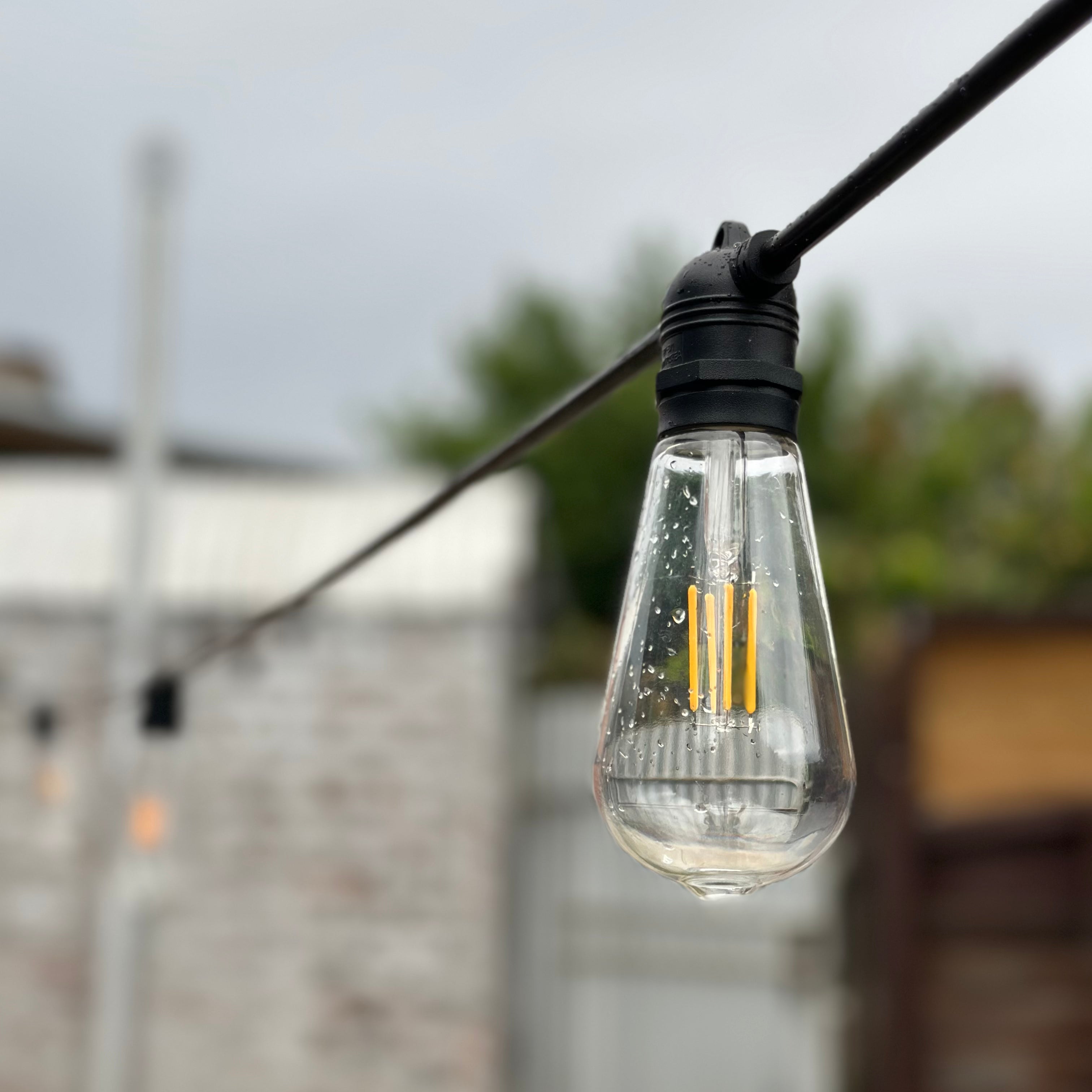 Festoon Light Kit - 100cm Globe Spacing | Black