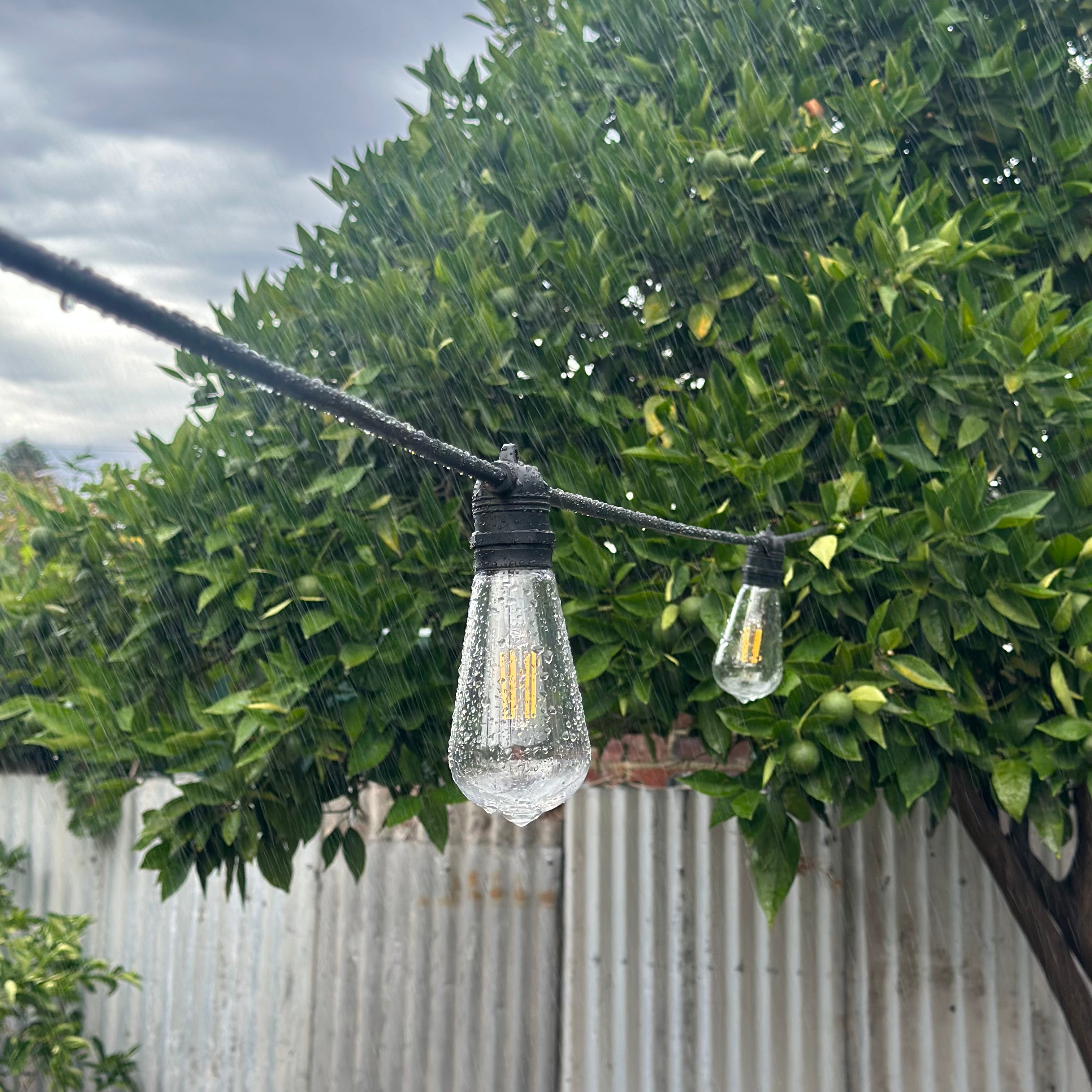 Festoon Light Kit - 100cm Globe Spacing | Black