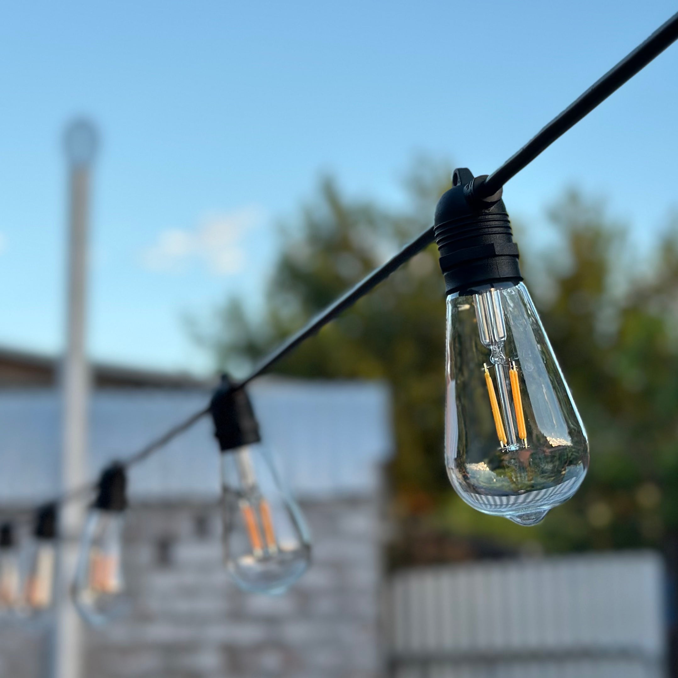 Festoon Light Kit - 50cm Globe Spacing | Black