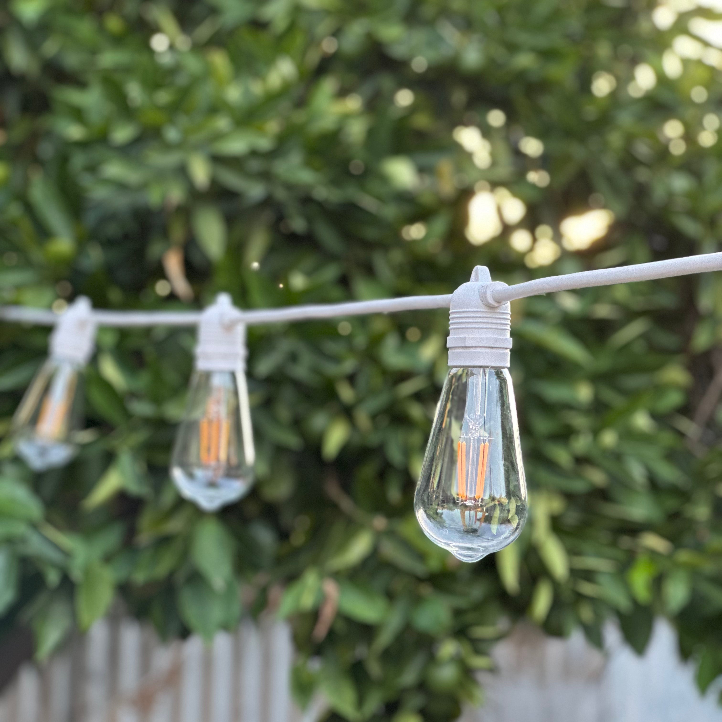 Festoon Light Kit - 50cm Globe Spacing | White