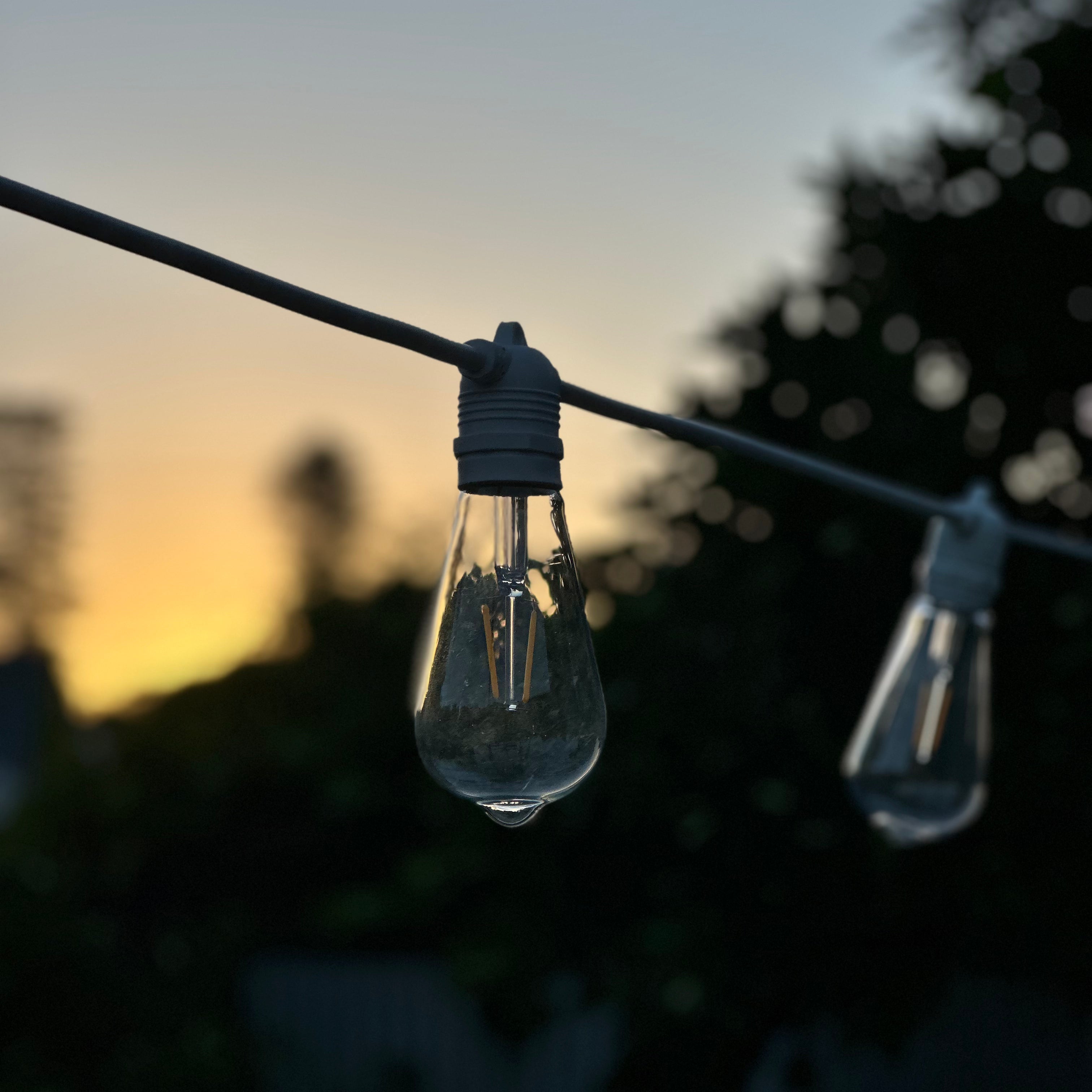 Festoon Light Kit - 50cm Globe Spacing | White