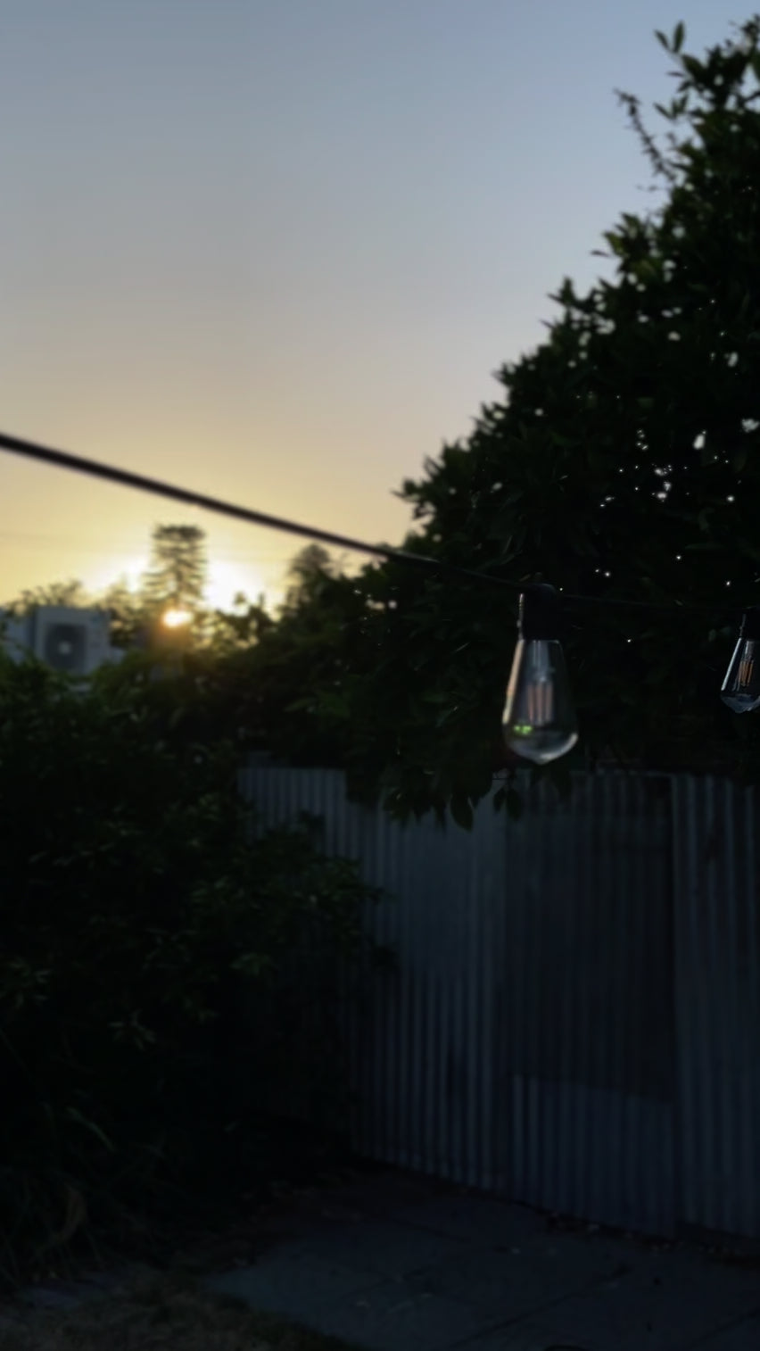 Festoon Light Kit - 100cm Globe Spacing | Black