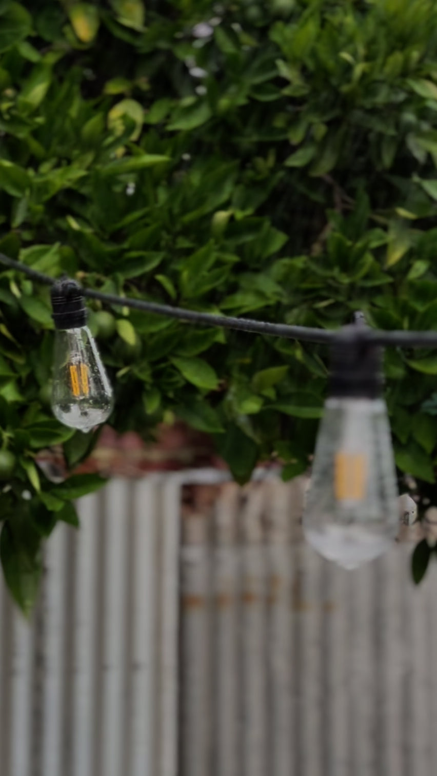 Festoon Light Kit - 100cm Globe Spacing | Black