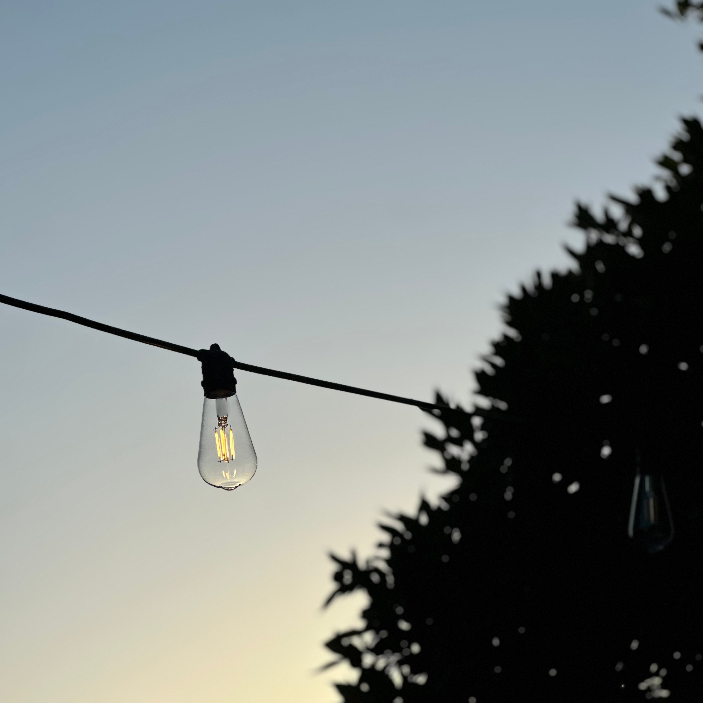 Festoon Light Kit - 100cm Globe Spacing | Black