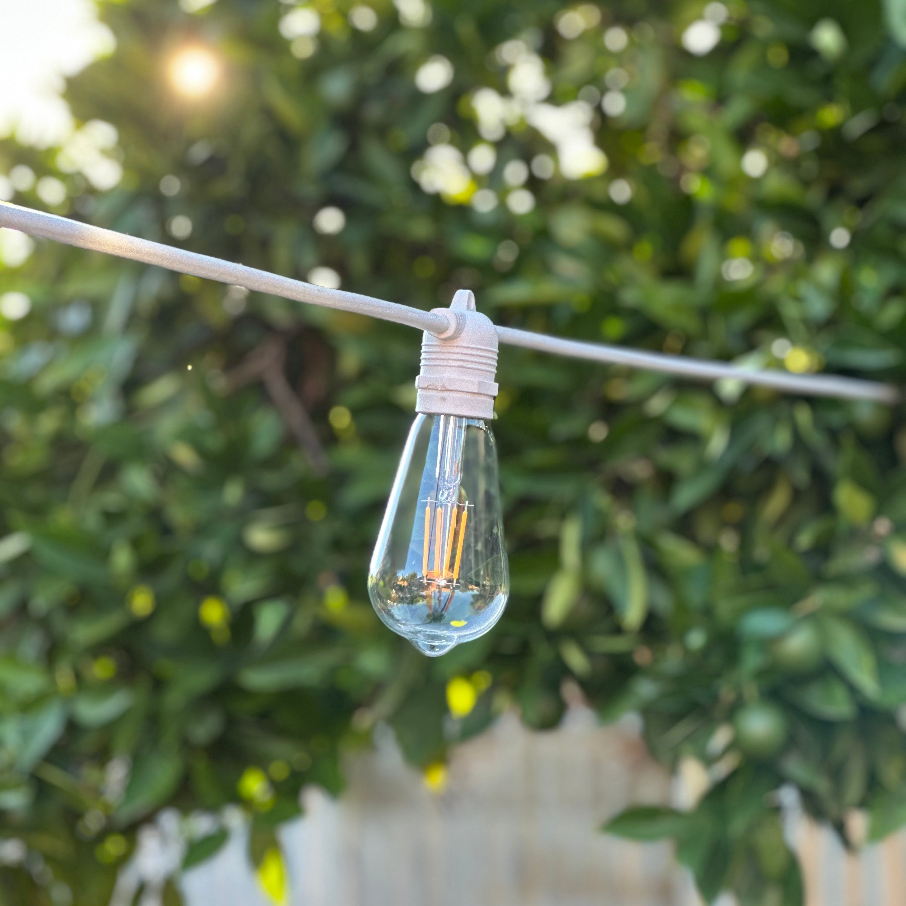 Festoon Light Kit - 100cm Globe Spacing | White