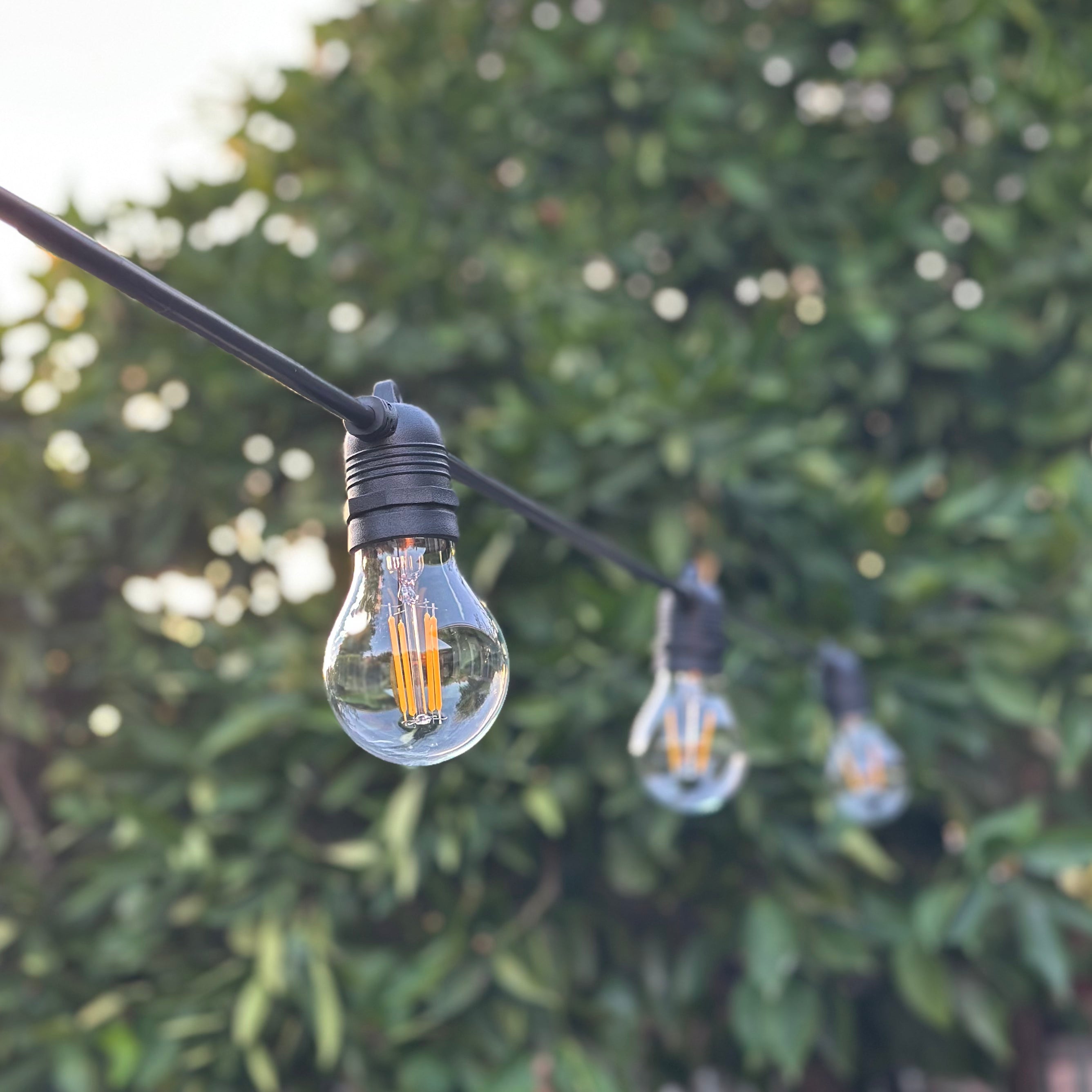 Festoon Light Kit - 50cm Globe Spacing | Black