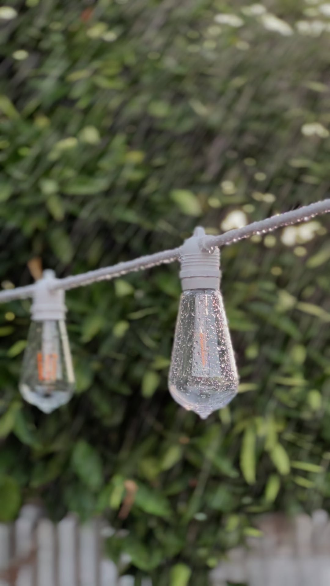 Festoon Light Kit - 50cm Globe Spacing | White