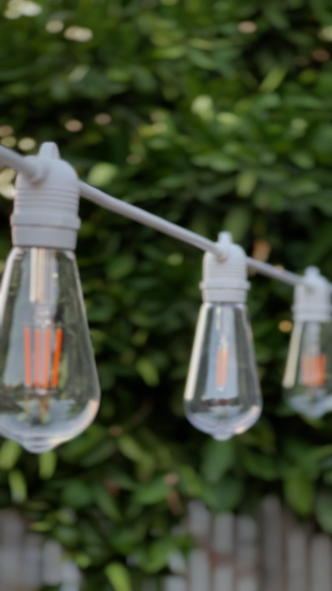 Festoon Light Kit - 50cm Globe Spacing | White