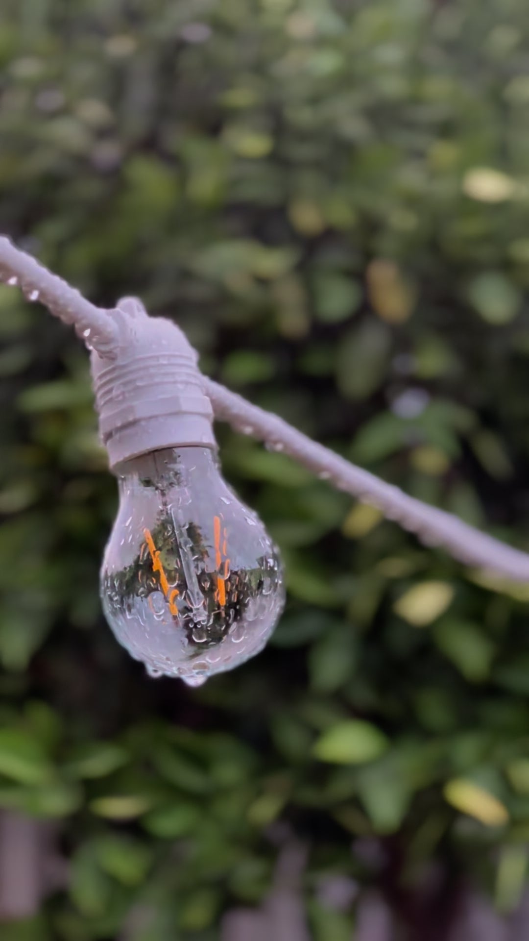 Festoon Light Kit - 100cm Globe Spacing | White