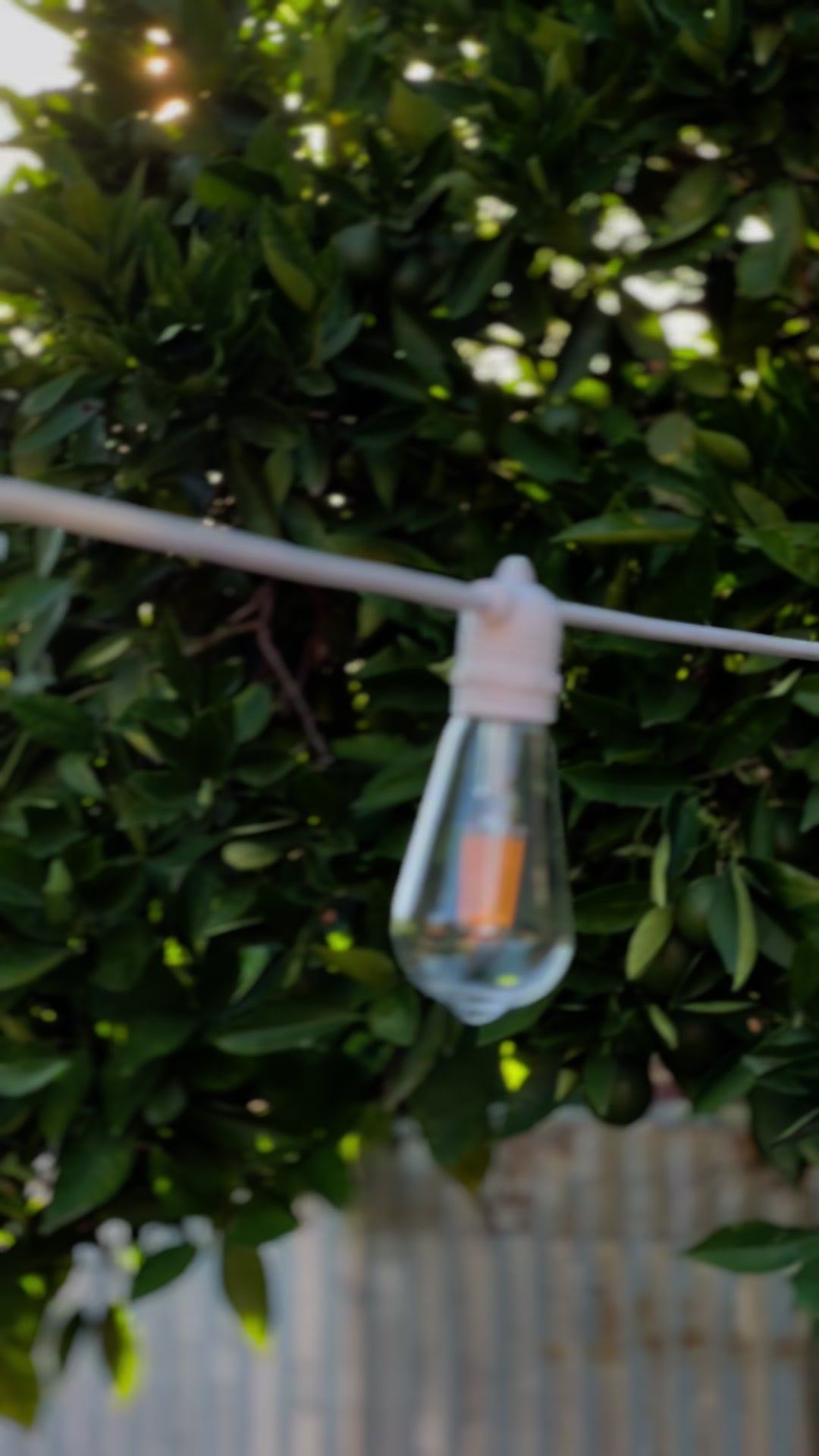 Festoon Light Kit - 100cm Globe Spacing | White