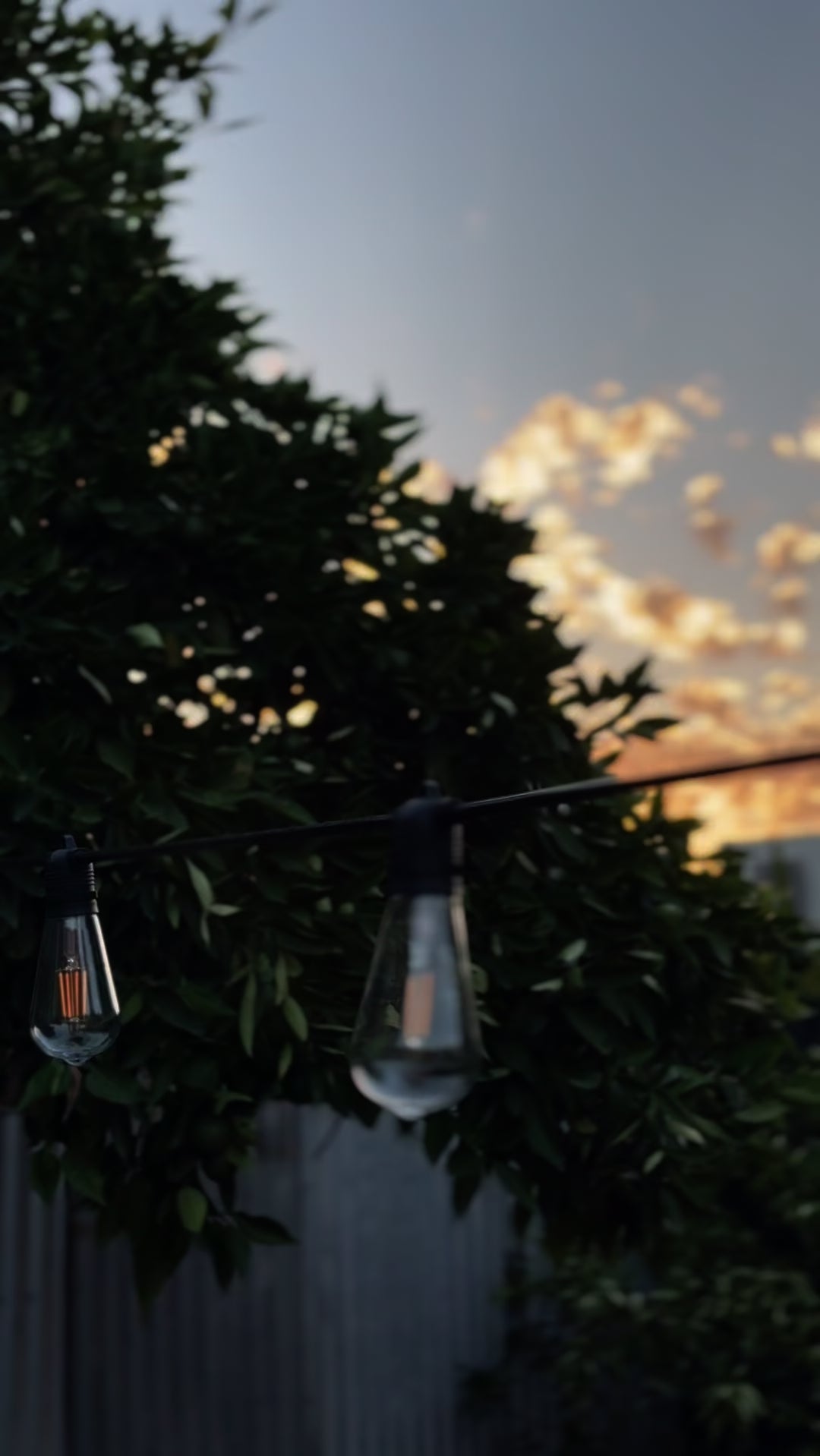 Festoon Light Kit - 50cm Globe Spacing | Black